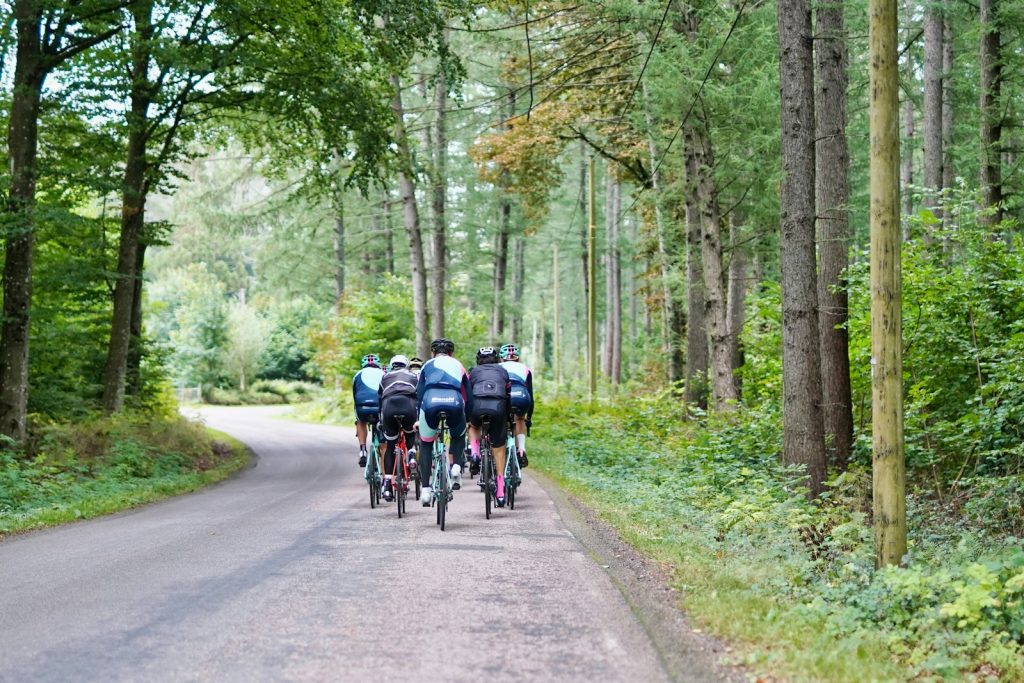 Radfahrergruppe von hinten auf Waldstraße