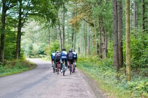 Radfahrergruppe von hinten auf Waldstraße